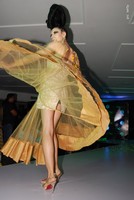 Aarti Chabriya Launches Osadia Garden City Logo